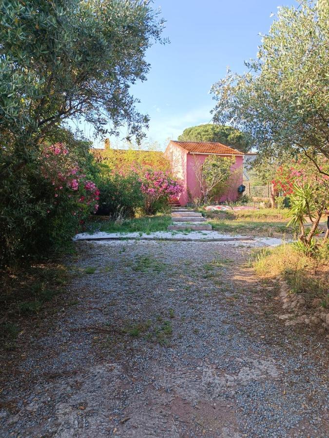 Maison De Vacances, Proche De La Plage Фрежус Екстер'єр фото